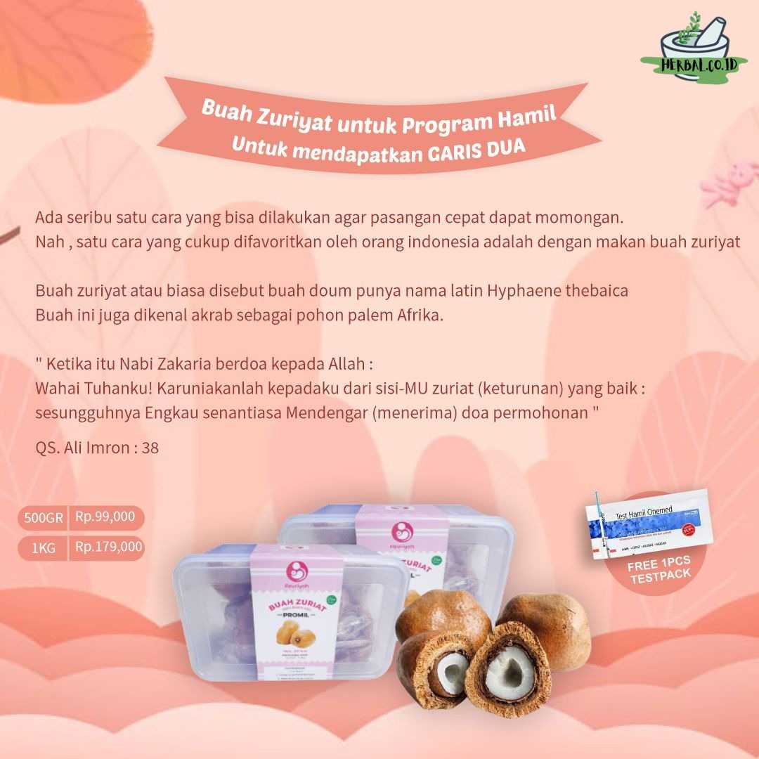 Buah Zuriyat Untuk Program Hamil & Free Test Pack Buah Zuriyat Untuk Program Hamil & Free Test Pack