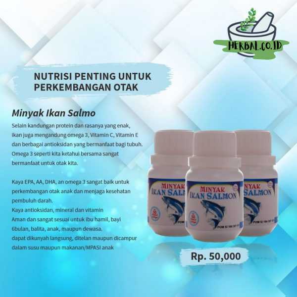 Minyak Ikan Salmon Mengandung Omega 3, Vitamin C, Vitamin E & Antioksidan