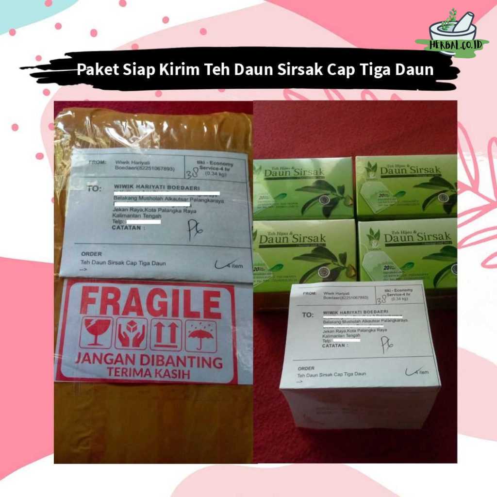 Paket Siap Kirim Teh Daun Sirsak Cap Tiga Daun