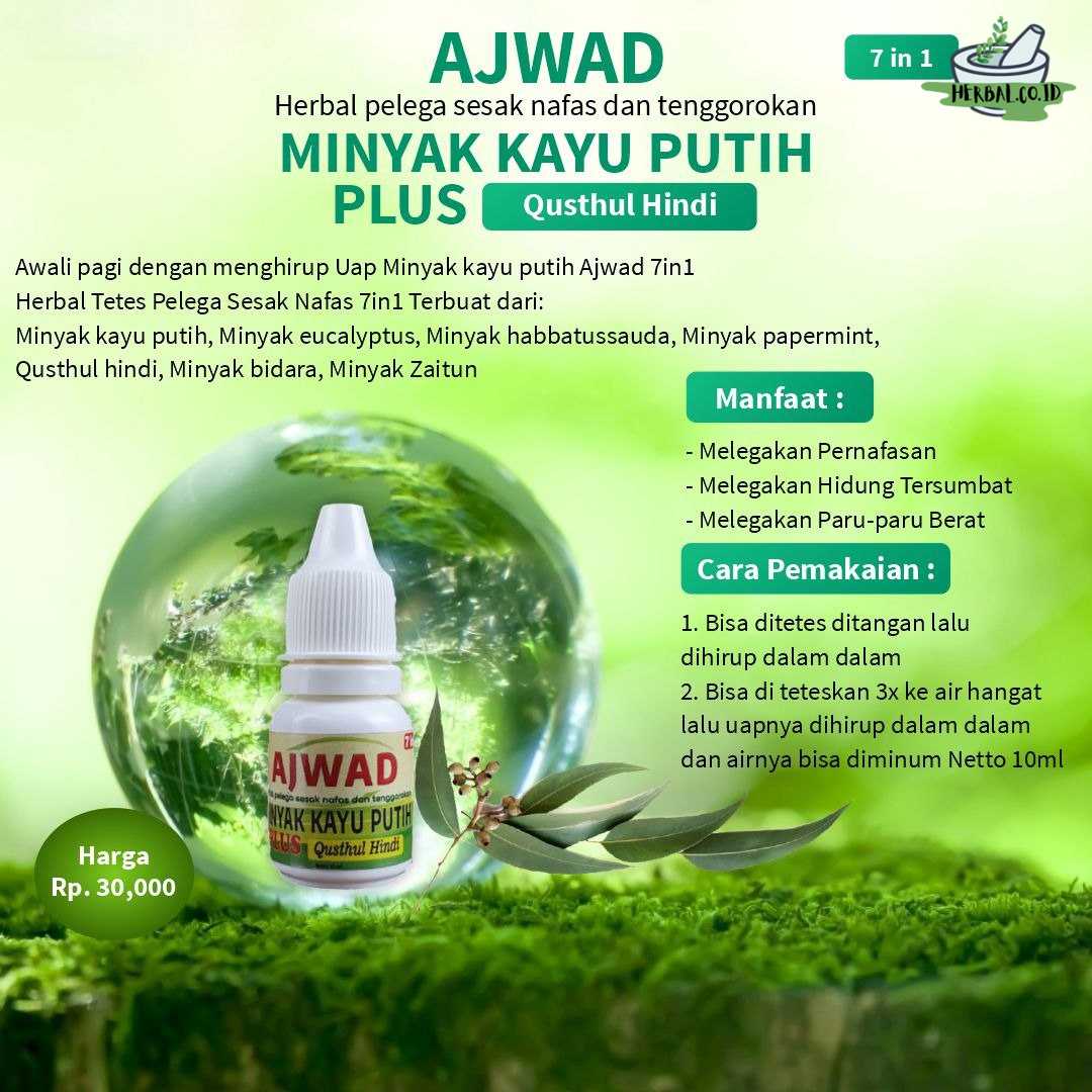 Herbal Tetes Pelega Sesak Nafas 7in1 Herbal Tetes Pelega Sesak Nafas 7in1